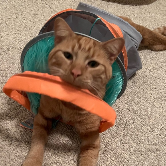 Hi fellow Poshers 💗 My name is Michelle 💗 - Picture 3 of 4